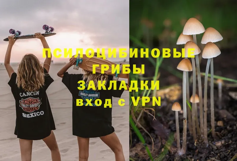 купить закладку  Горячий Ключ  omg ONION  Галлюциногенные грибы Psilocybe 